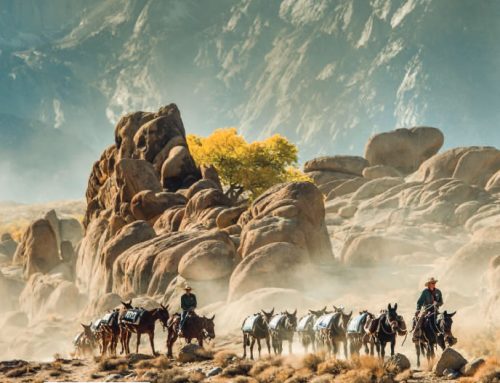 Inyo County Visitor Guide – 11th Edition