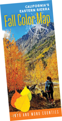 Eastern Sierra Fall Color Map