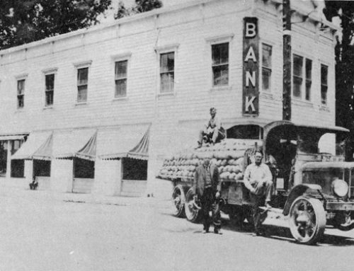 Financial, Insurance, Legal